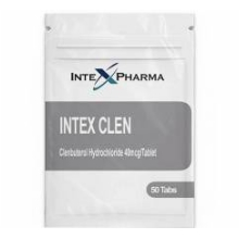INTEX CLEN